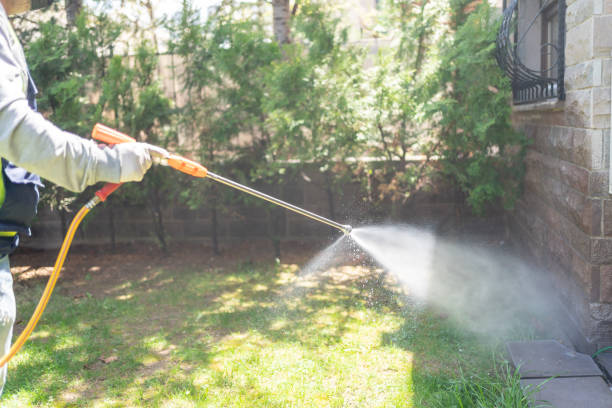 Best Fumigation Services  in Rockingham, NC